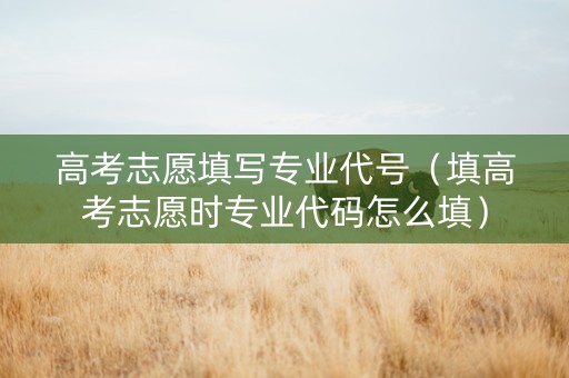 高考志愿填写专业代号（填高考志愿时专业代码怎么填）