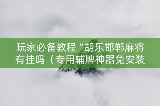 玩家必备教程“胡乐邯郸麻将有挂吗（专用辅牌神器免安装）