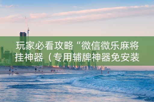 玩家必看攻略“微信微乐麻将挂神器（专用辅牌神器免安装）