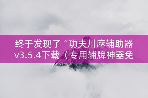 终于发现了“功夫川麻辅助器v3.5.4下载（专用辅牌神器免安装）