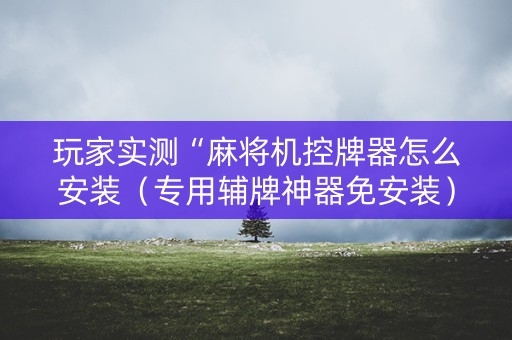 玩家实测“麻将机控牌器怎么安装（专用辅牌神器免安装）