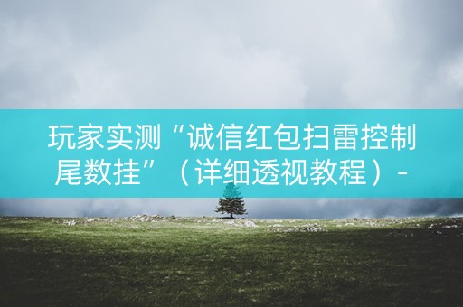 玩家实测“诚信红包扫雷控制尾数挂”（详细透视教程）-哔哩哔哩