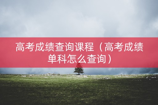 高考成绩查询课程（高考成绩单科怎么查询）