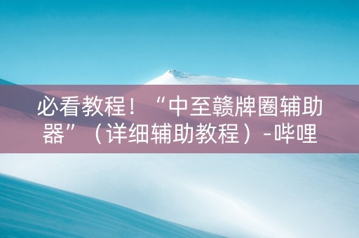 必看教程！“中至赣牌圈辅助器”（详细辅助教程）-哔哩哔哩