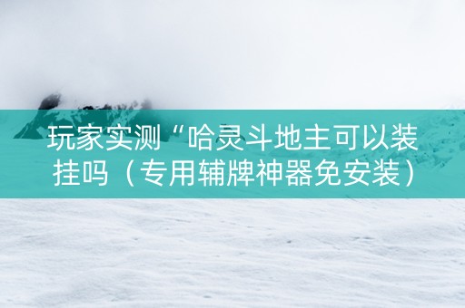 玩家实测“哈灵斗地主可以装挂吗（专用辅牌神器免安装）
