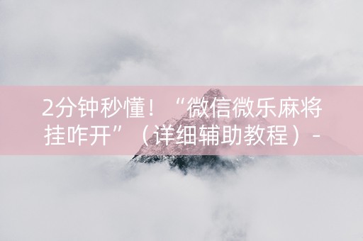 2分钟秒懂！“微信微乐麻将挂咋开”（详细辅助教程）-哔哩哔哩
