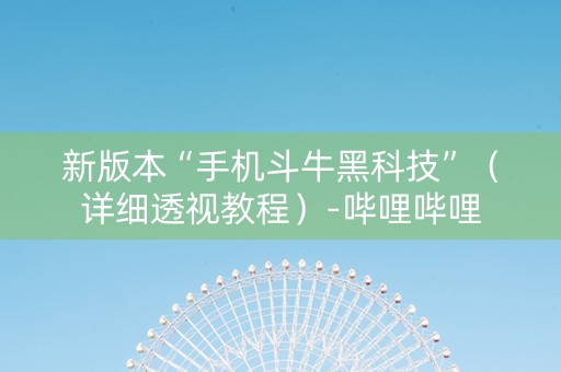 新版本“手机斗牛黑科技”（详细透视教程）-哔哩哔哩