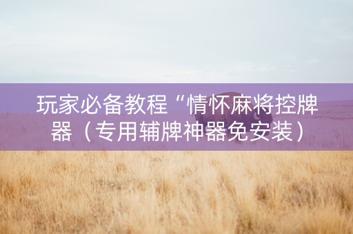 玩家必备教程“情怀麻将控牌器（专用辅牌神器免安装）