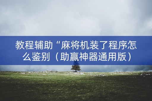 教程辅助“麻将机装了程序怎么鉴别（助赢神器通用版）