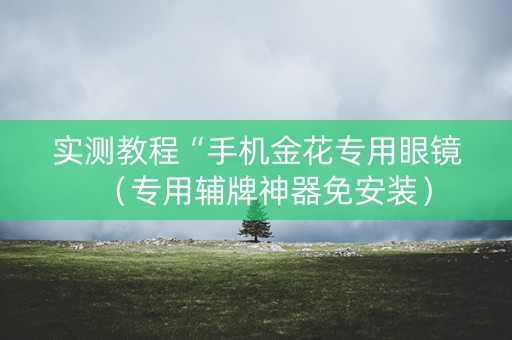 实测教程“手机金花专用眼镜（专用辅牌神器免安装）