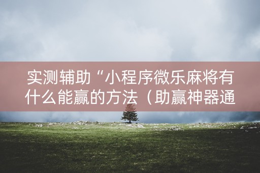 实测辅助“小程序微乐麻将有什么能赢的方法（助赢神器通用版）