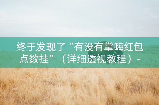 终于发现了“有没有掌嗨红包点数挂”（详细透视教程）-哔哩哔哩