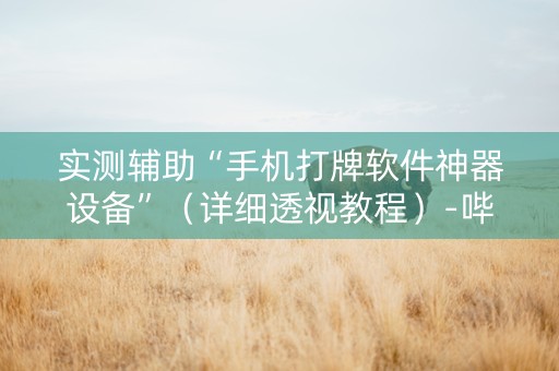 实测辅助“手机打牌软件神器设备”（详细透视教程）-哔哩哔哩