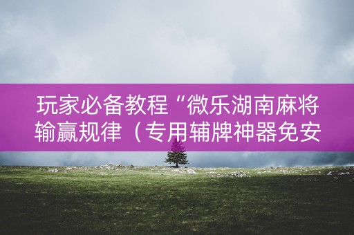 玩家必备教程“微乐湖南麻将输赢规律（专用辅牌神器免安装）