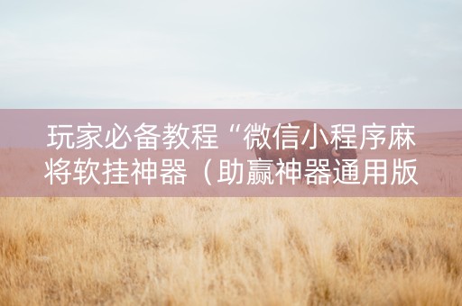 玩家必备教程“微信小程序麻将软挂神器（助赢神器通用版）