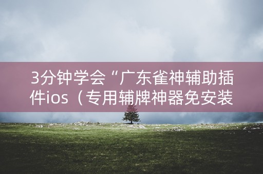 3分钟学会“广东雀神辅助插件ios（专用辅牌神器免安装）