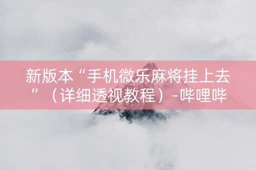 新版本“手机微乐麻将挂上去”（详细透视教程）-哔哩哔哩