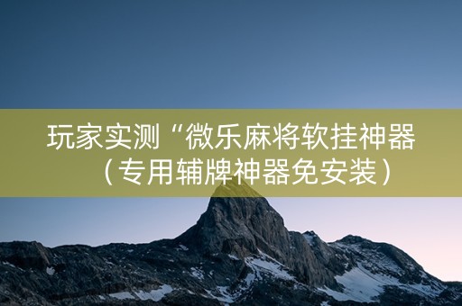 玩家实测“微乐麻将软挂神器（专用辅牌神器免安装）