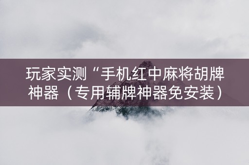 玩家实测“手机红中麻将胡牌神器（专用辅牌神器免安装）