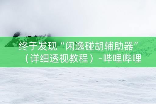 终于发现“闲逸碰胡辅助器”（详细透视教程）-哔哩哔哩