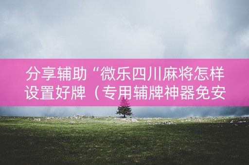 分享辅助“微乐四川麻将怎样设置好牌（专用辅牌神器免安装）