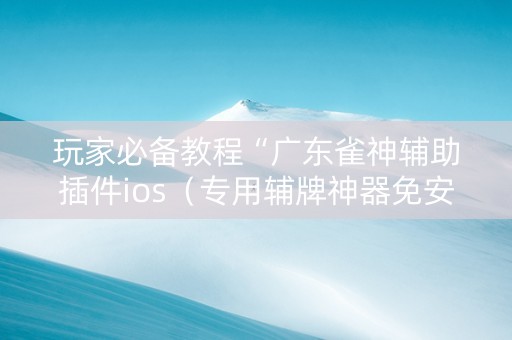 玩家必备教程“广东雀神辅助插件ios（专用辅牌神器免安装）