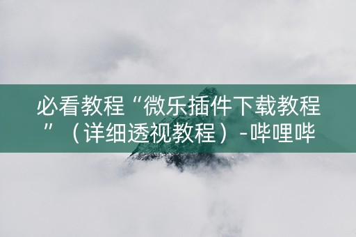 必看教程“微乐插件下载教程”（详细透视教程）-哔哩哔哩