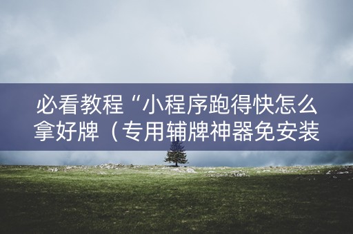 必看教程“小程序跑得快怎么拿好牌（专用辅牌神器免安装）