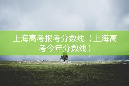 上海高考报考分数线（上海高考今年分数线）