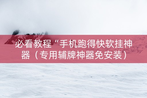 必看教程“手机跑得快软挂神器（专用辅牌神器免安装）