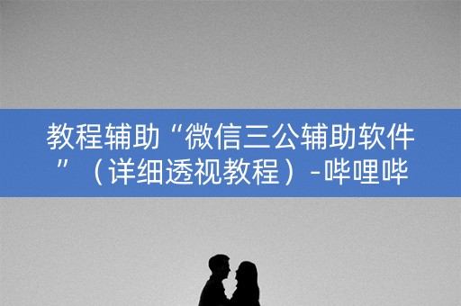 教程辅助“微信三公辅助软件”（详细透视教程）-哔哩哔哩