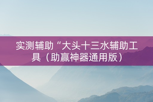 实测辅助“大头十三水辅助工具（助赢神器通用版）