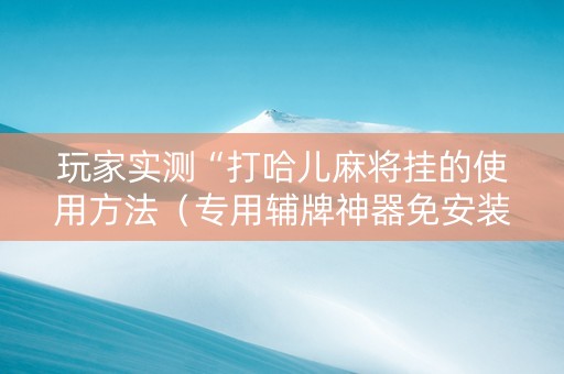 玩家实测“打哈儿麻将挂的使用方法（专用辅牌神器免安装）