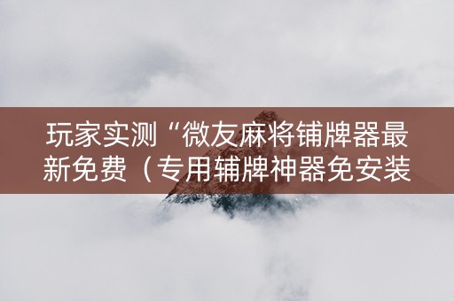 玩家实测“微友麻将铺牌器最新免费（专用辅牌神器免安装）