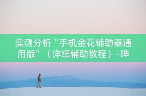 实测分析“手机金花辅助器通用版”（详细辅助教程）-哔哩哔哩