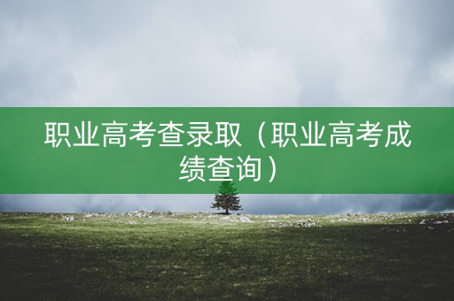 职业高考查录取（职业高考成绩查询）