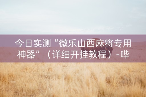 今日实测“微乐山西麻将专用神器”（详细开挂教程）-哔哩哔哩