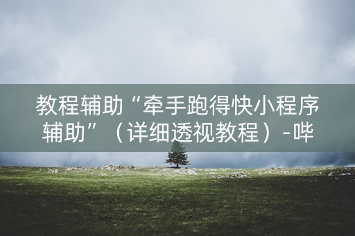 教程辅助“牵手跑得快小程序辅助”（详细透视教程）-哔哩哔哩