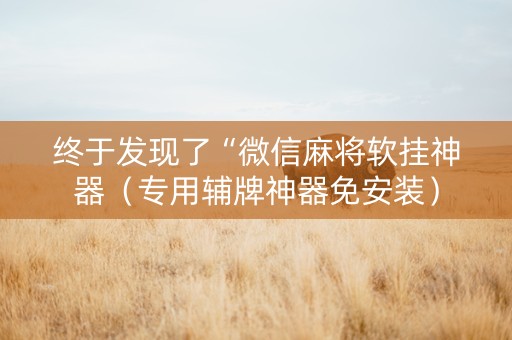 终于发现了“微信麻将软挂神器（专用辅牌神器免安装）