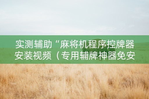实测辅助“麻将机程序控牌器安装视频（专用辅牌神器免安装）