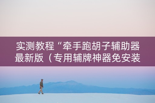 实测教程“牵手跑胡子辅助器最新版（专用辅牌神器免安装）
