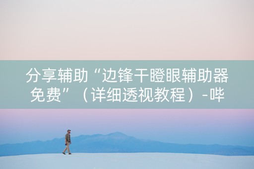 分享辅助“边锋干瞪眼辅助器免费”（详细透视教程）-哔哩哔哩