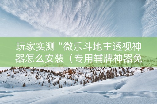 玩家实测“微乐斗地主透视神器怎么安装（专用辅牌神器免安装）