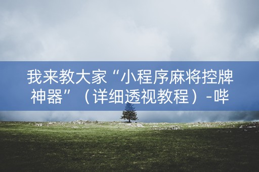 我来教大家“小程序麻将控牌神器”（详细透视教程）-哔哩哔哩