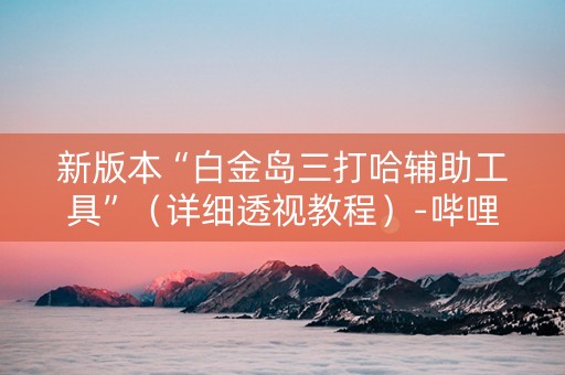 新版本“白金岛三打哈辅助工具”（详细透视教程）-哔哩哔哩