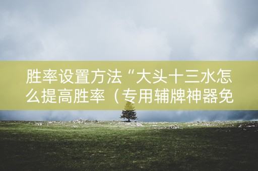 胜率设置方法“大头十三水怎么提高胜率（专用辅牌神器免安装）