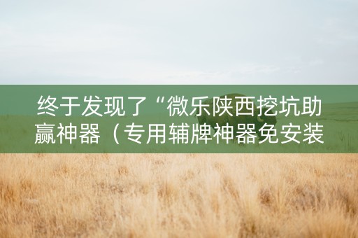 终于发现了“微乐陕西挖坑助赢神器（专用辅牌神器免安装）
