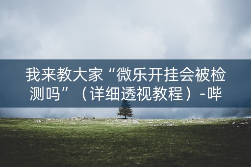 我来教大家“微乐开挂会被检测吗”（详细透视教程）-哔哩哔哩