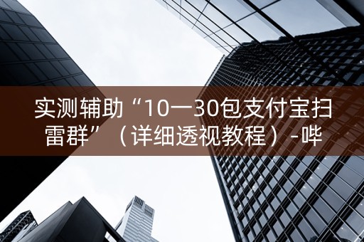 实测辅助“10一30包支付宝扫雷群”（详细透视教程）-哔哩哔哩