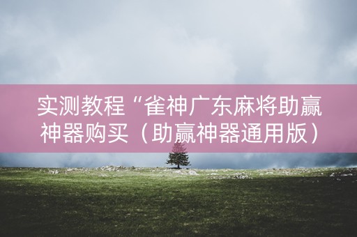 实测教程“雀神广东麻将助赢神器购买（助赢神器通用版）